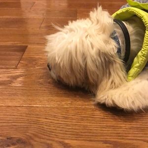 Meet your Posher, Gloria